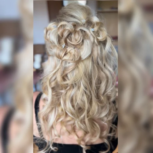 steckfrisuren_blurred